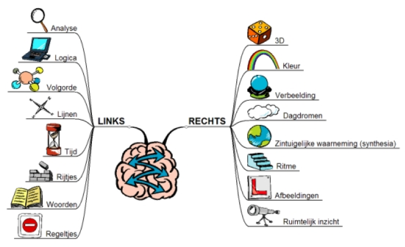 Snel = leuk leren | RT Praktijk Rotterdam